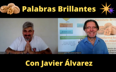 Palabras Brillantes con Javier Álvarez